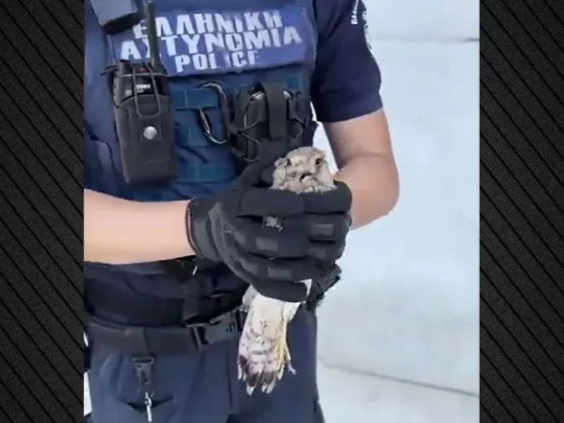 ΕΛΑΣ