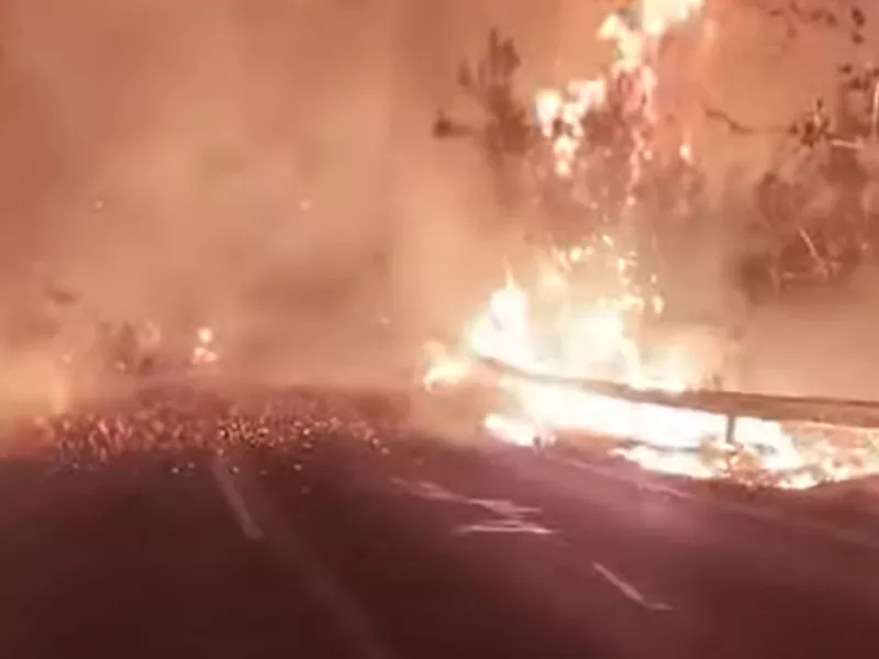 Φωτιά στη Θάσο