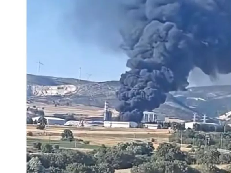 Φωτιά Αλεξανδρούπολη