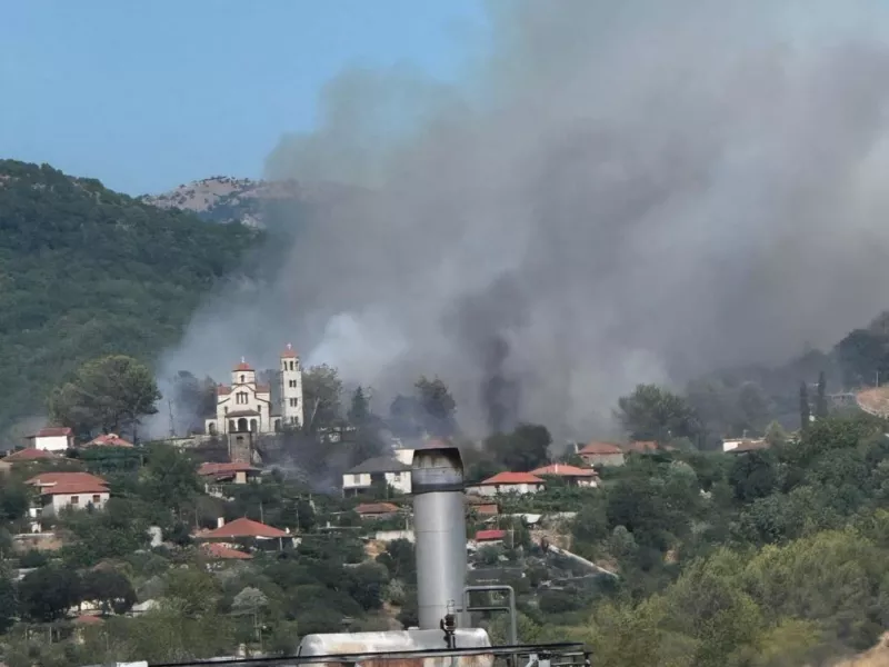 Φωτιά Κακαβιά