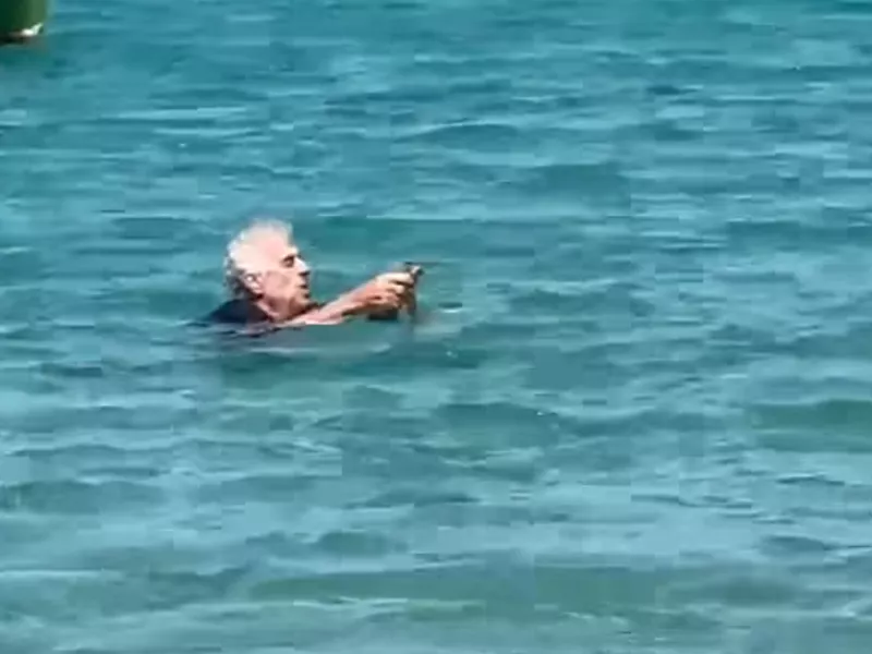 Γατάκι 