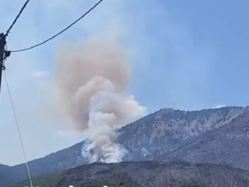 Φωτιά στον Φενεό