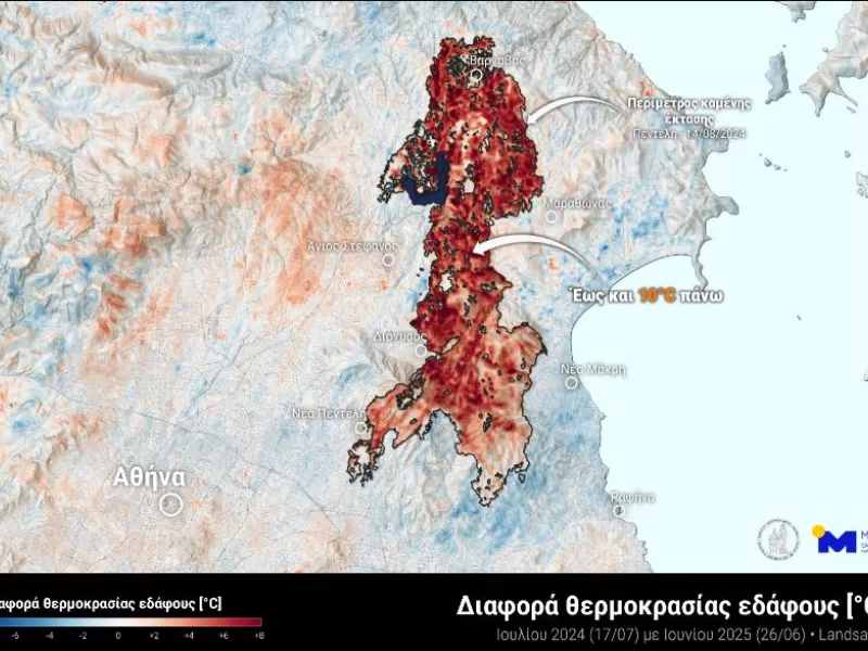 Χάρτης
