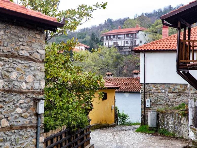 ΠΑΛΑΙΟΣ ΠΑΝΤΕΛΕΗΜΟΝΑΣ ΠΙΕΡΙΑΣ