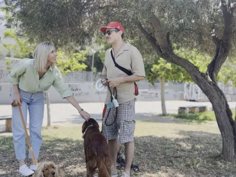 Pet Stories