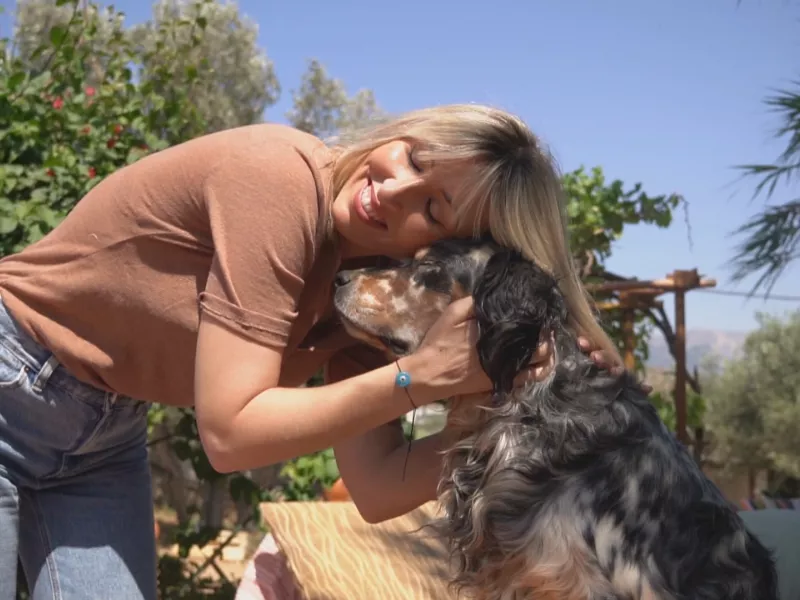 Pet Stories