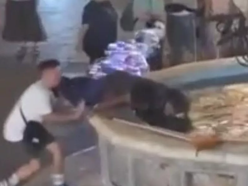 ροδος αστεγος