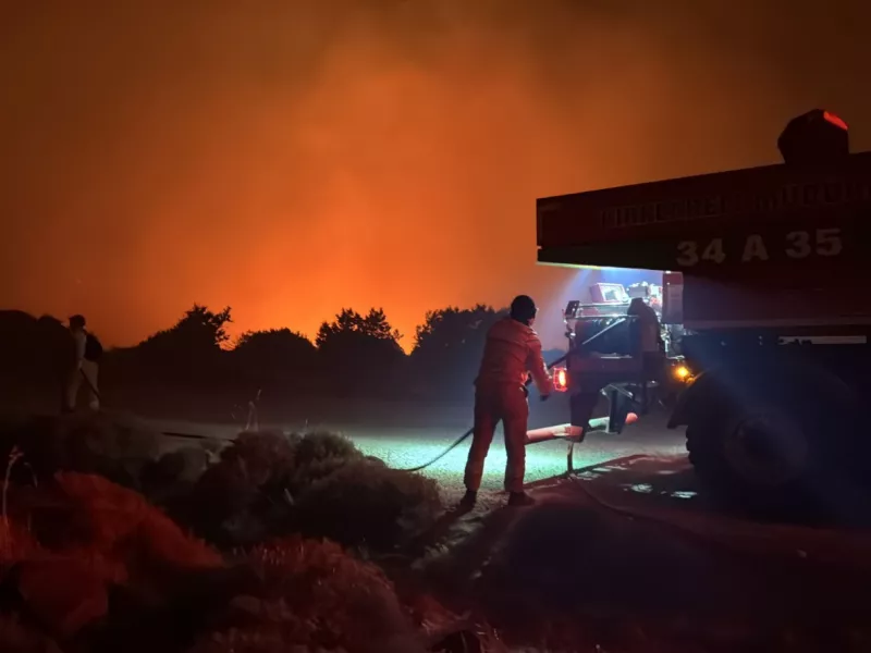 Πυρκαγιά στην Τουρκία: Νέα εστία κοντά στη Σμύρνη ενισχύεται από σφοδρούς ανέμους | ΣΚΑΪ