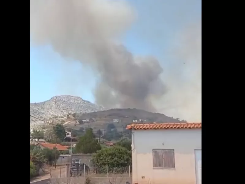 Φωτιά στη Βοιωτία