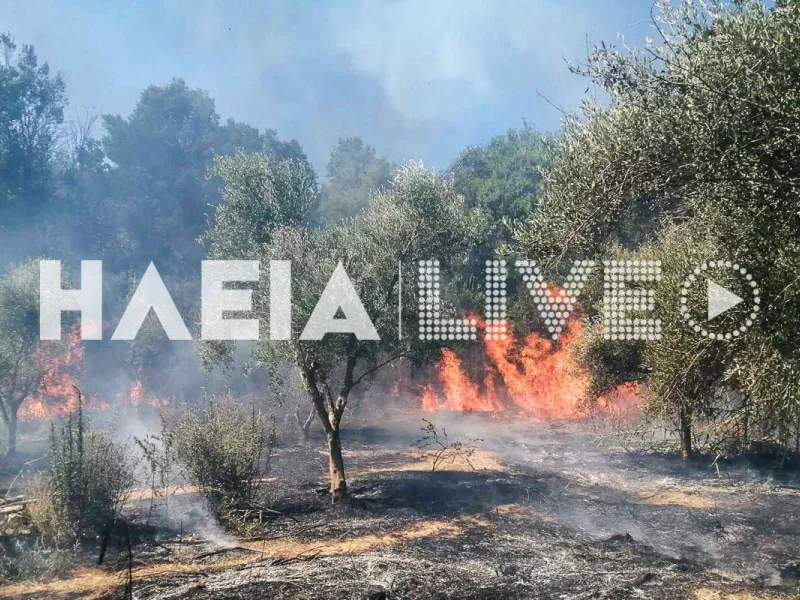 Φωτιά Ηλεία 