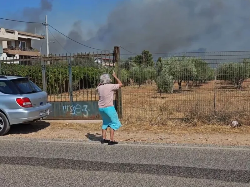Φωτιά στην Κερατέα