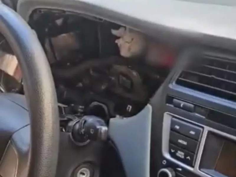 Ναρκωτικά σε αμάξι