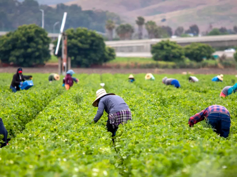 μετανάστες εργάτες γης