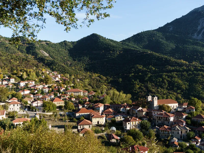 Πλάτανος
