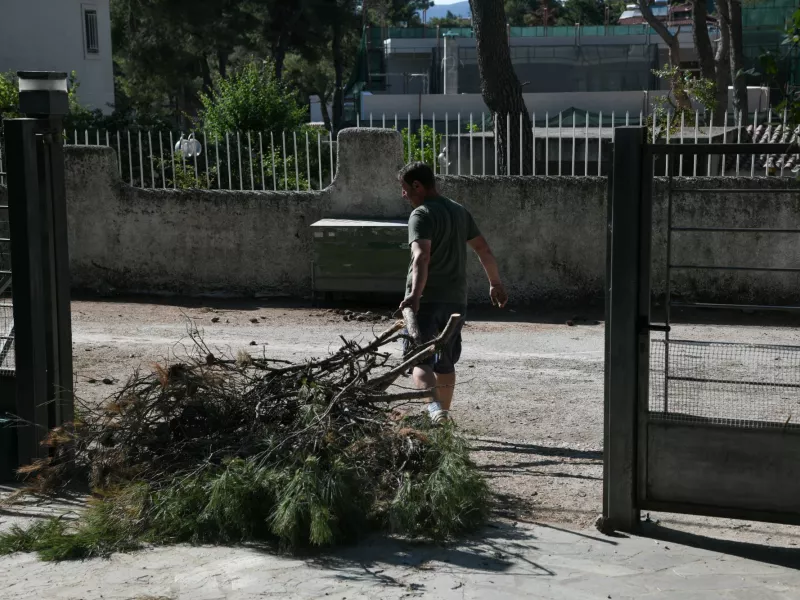 καθαριστα 