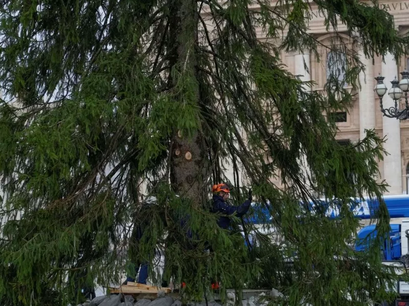 Τα έλατα τρώγονται απαντά η Στοκχόλμη στο Βέλγιο