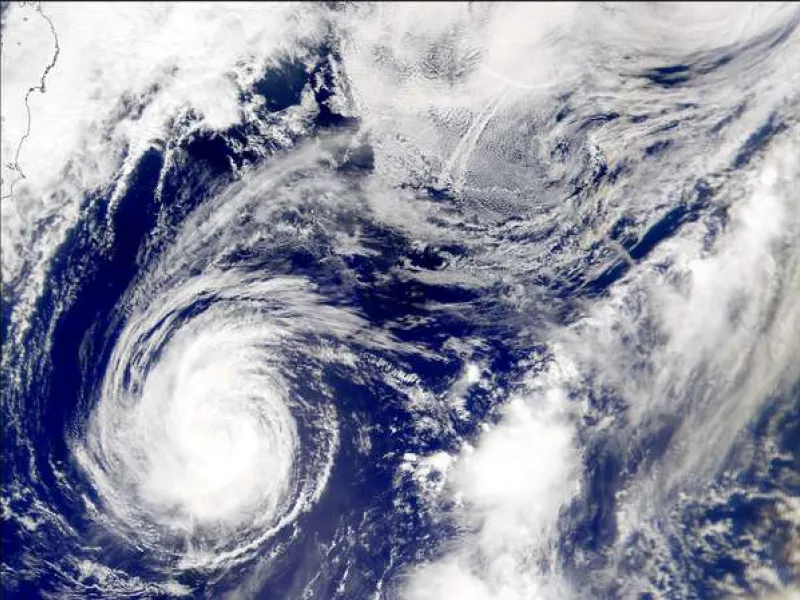 Typhoon