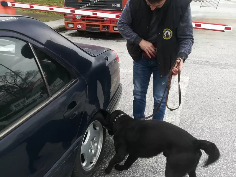 Θεσσαλονίκη: Ναρκωτικά εντόπισε σε επιχείρηση της ΕΛ.ΑΣ ο σκύλος «Άτλας»