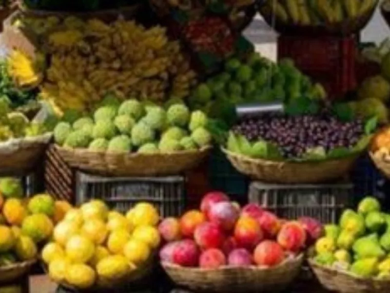 Καλάθι των φρούτων και λαχανικών