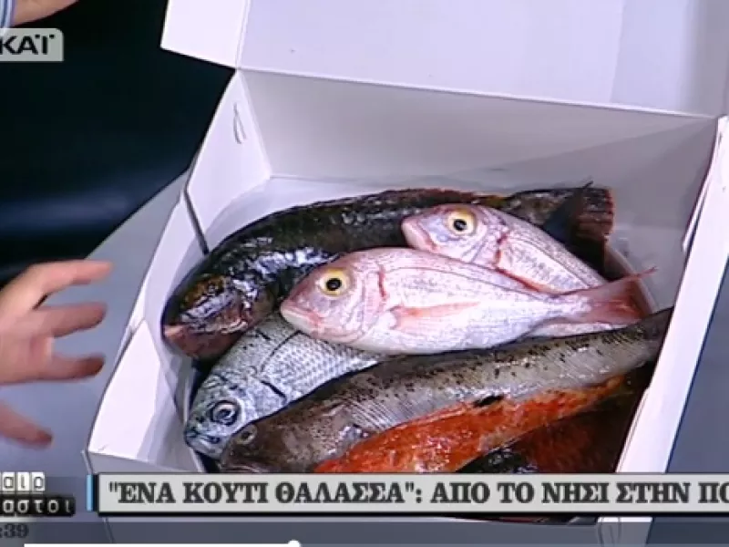 Ένα κουτί θάλασσα ενάντια στην υπεραλίευση