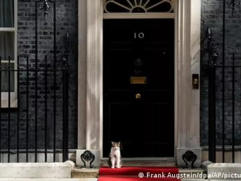 Μ. Βρετανία: Λάρι, ο μόνιμος κάτοικος της Downing Street