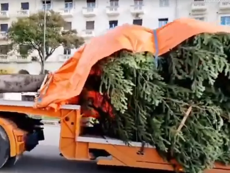 Έλατο