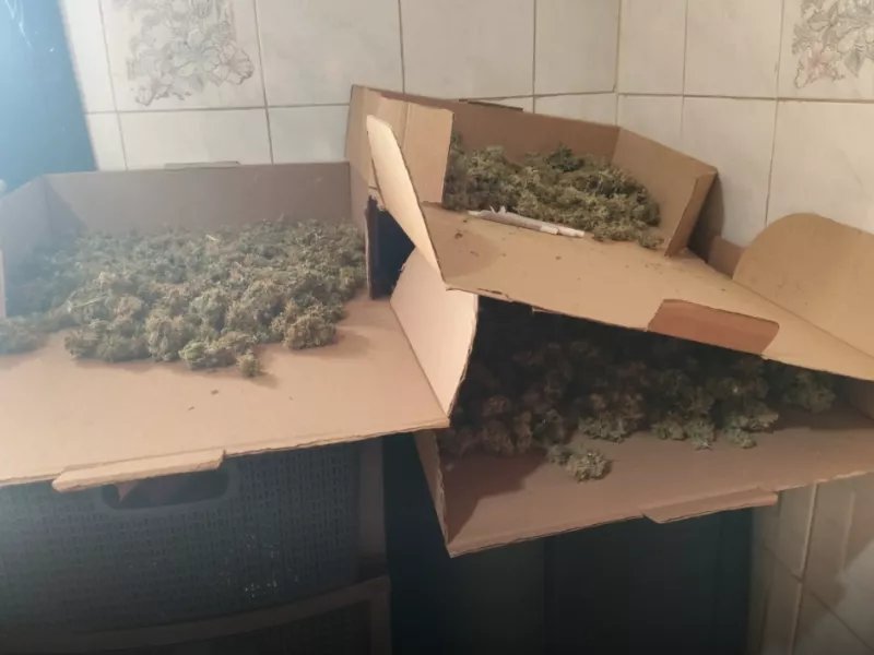 Κάνναβη σε χαρτόκουτα