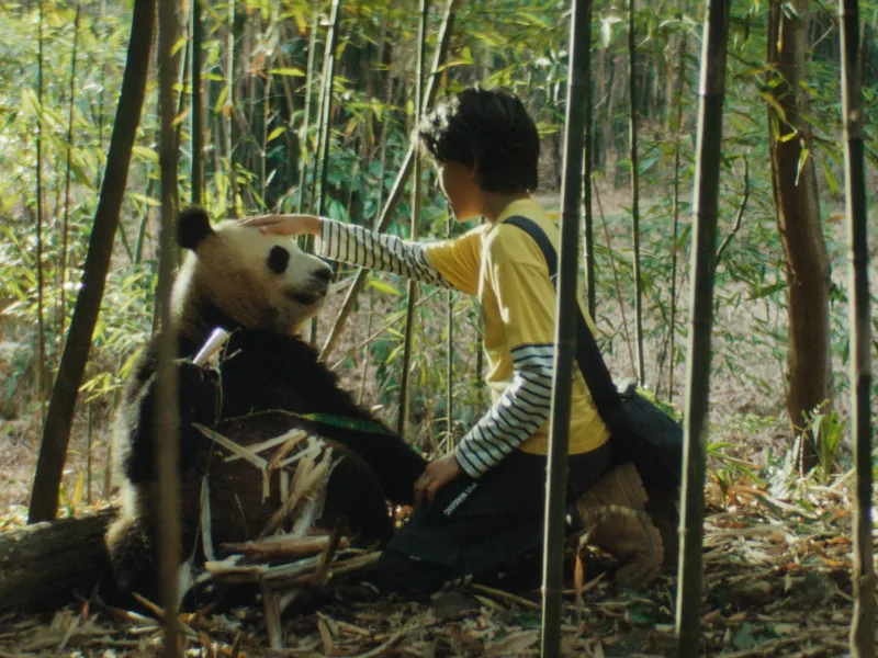Moon le Panda