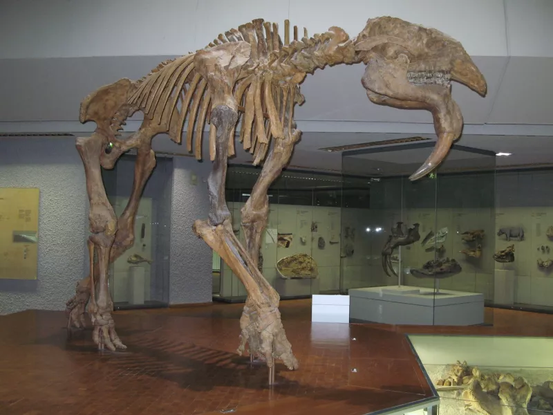 deinotherium