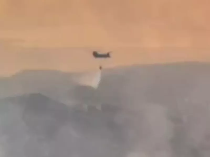 Σινούκ