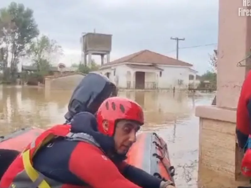 διασώσεις 