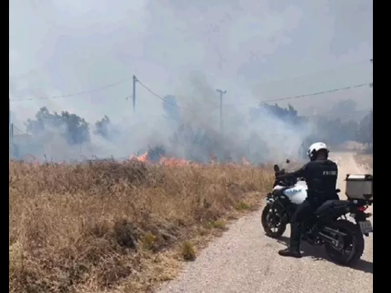 Κερατέα