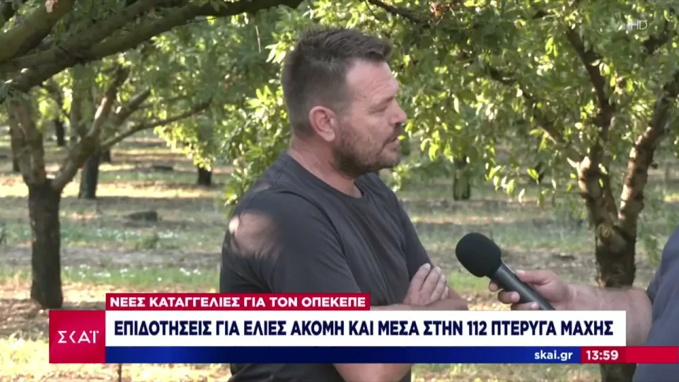 Μητροδήμος (αγρότης από Λάρισα): Δέχτηκα απειλητικά τηλεφωνήματα | ΣΚΑΪ